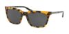 Picture of Coach Sunglasses HC8236