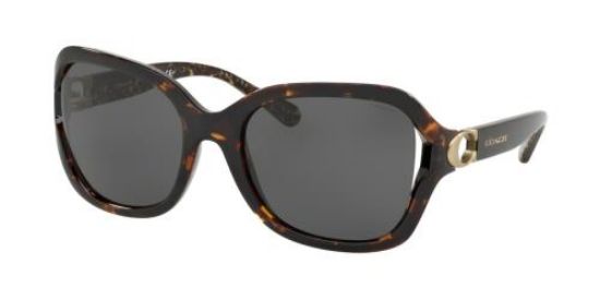 Picture of Coach Sunglasses HC8238
