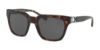 Picture of Coach Sunglasses HC8240F