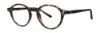 Picture of Gallery Eyeglasses LINCOLN