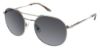 Picture of Bcbgmaxazria Sunglasses BOLD