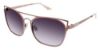 Picture of Steve Madden Sunglasses KAREFREEE