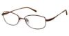 Picture of Aristar Eyeglasses AR 16384