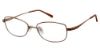 Picture of Aristar Eyeglasses AR 16384