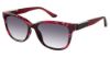 Picture of Elle Sunglasses EL 14857