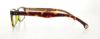 Picture of Brooks Brothers Eyeglasses BB2003