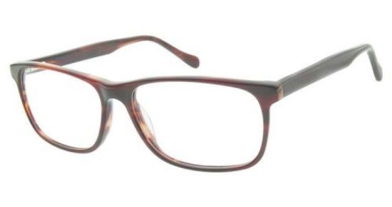 Picture of Aristar Eyeglasses AR 18653