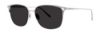 Picture of Vera Wang Sunglasses TIANA