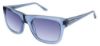 Picture of Bcbgmaxazria Sunglasses VIVID