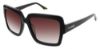 Picture of Steve Madden Sunglasses INSPIREDD