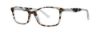Picture of Vera Wang Eyeglasses V523