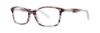 Picture of Vera Wang Eyeglasses V523