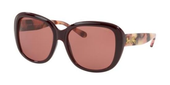 Picture of Coach Sunglasses HC8207