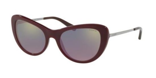 Picture of Coach Sunglasses HC8247