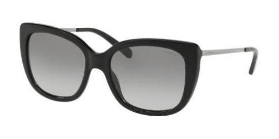 Picture of Coach Sunglasses HC8246F