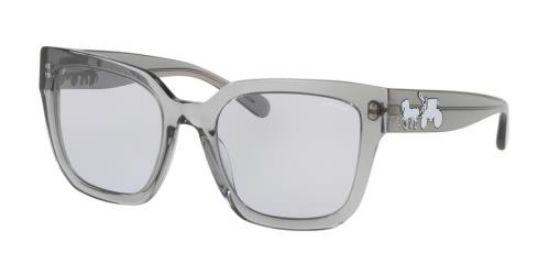 Picture of Coach Sunglasses HC8249