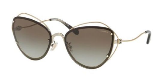Picture of Coach Sunglasses HC7086