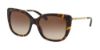 Picture of Coach Sunglasses HC8246F