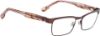 Picture of Spy Eyeglasses PAXTON