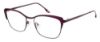 Picture of Bcbgmaxazria Eyeglasses FILIPA
