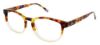 Picture of Izod Eyeglasses 2064