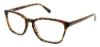 Picture of Steve Madden Eyeglasses PIIONEER