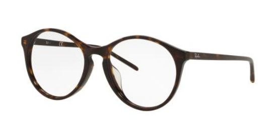 Picture of Ray Ban Eyeglasses RX5371F