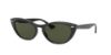 Picture of Ray Ban Sunglasses RB4314N
