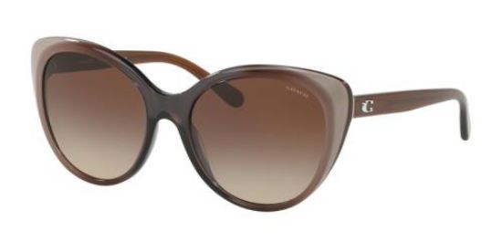 Picture of Coach Sunglasses HC8260F