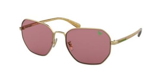 Picture of Coach Sunglasses HC7092