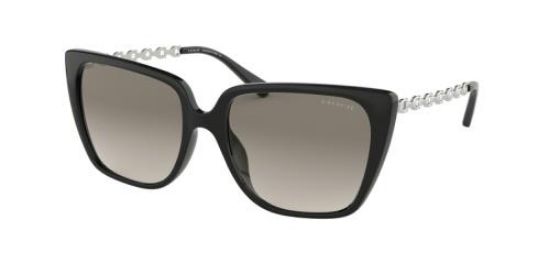 Picture of Coach Sunglasses HC8256U