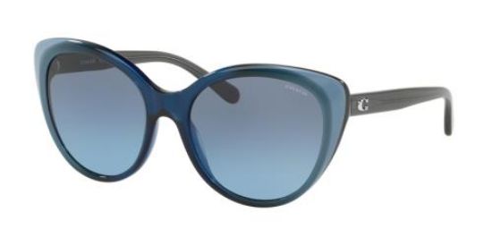 Picture of Coach Sunglasses HC8260