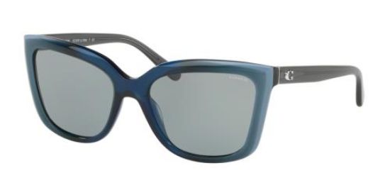 Picture of Coach Sunglasses HC8261