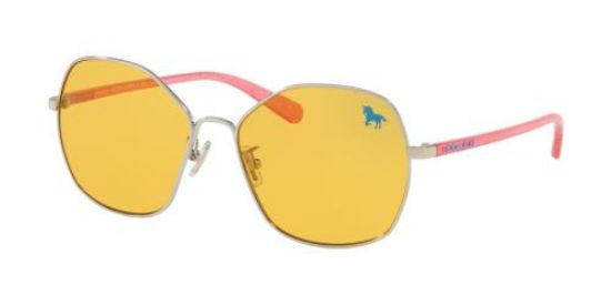 Picture of Coach Sunglasses HC7091