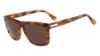 Picture of Calvin Klein Platinum Sunglasses CK4255S