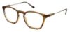 Picture of Izod Eyeglasses 2066