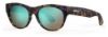 Picture of Smith Sunglasses SOPHISTICATE