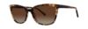 Picture of Vera Wang Sunglasses ALEXE