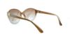 Picture of Michael Kors Sunglasses M2943S NICOLE