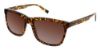 Picture of Steve Madden Sunglasses ANTICCS
