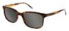 Picture of Izod Sunglasses 777