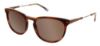 Picture of Izod Sunglasses 778