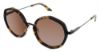 Picture of Steve Madden Sunglasses COSSMIC