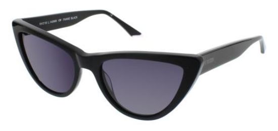 Picture of Steve Madden Sunglasses FAAME
