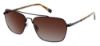 Picture of Steve Madden Sunglasses MOTTO