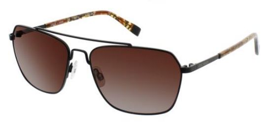 Picture of Steve Madden Sunglasses MOTTO