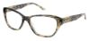 Picture of Bcbgmaxazria Eyeglasses MARTINA
