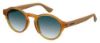 Picture of Havaianas Sunglasses CARAIVA