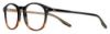 Picture of New Safilo Eyeglasses TRATTO 07