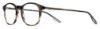 Picture of New Safilo Eyeglasses TRATTO 07
